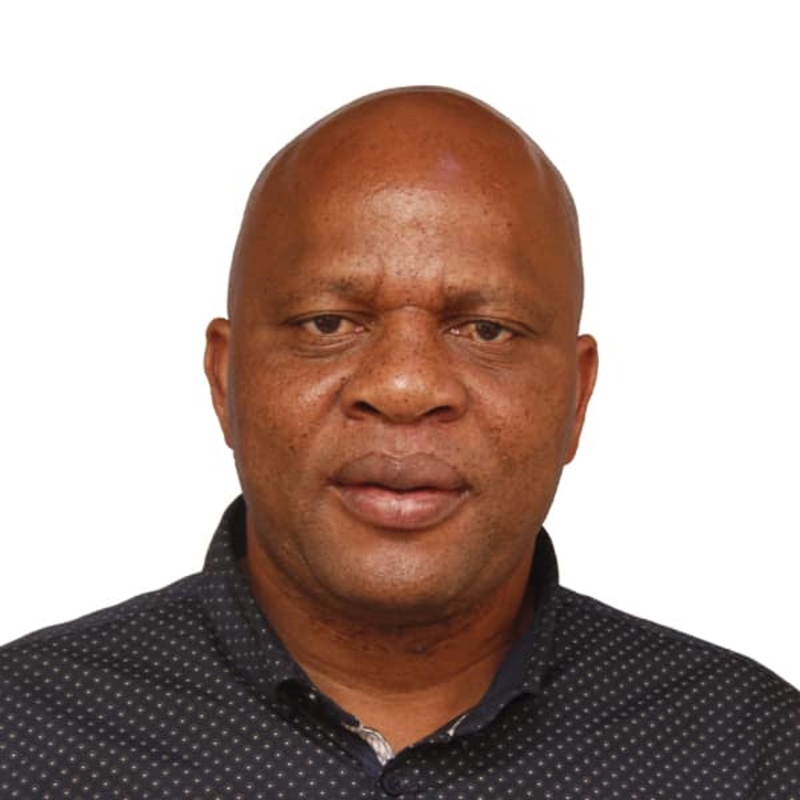 Prof. Thomas Marambanyika